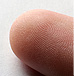 1:1 scale image of finger print